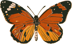 Textured Riso Butterfly 